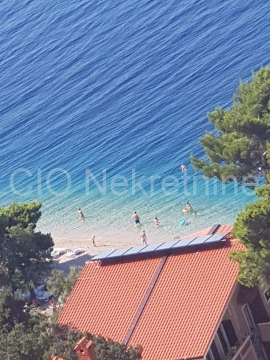 ČELINA