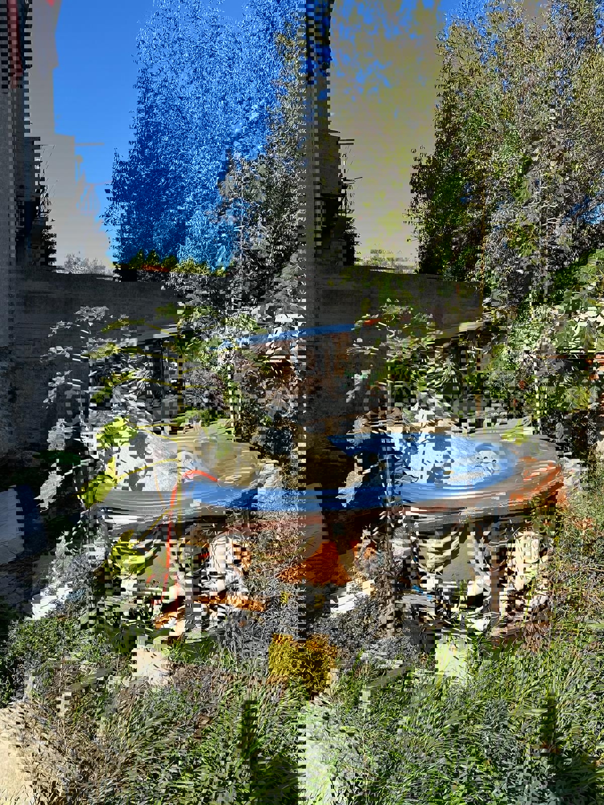 MRAVINCE