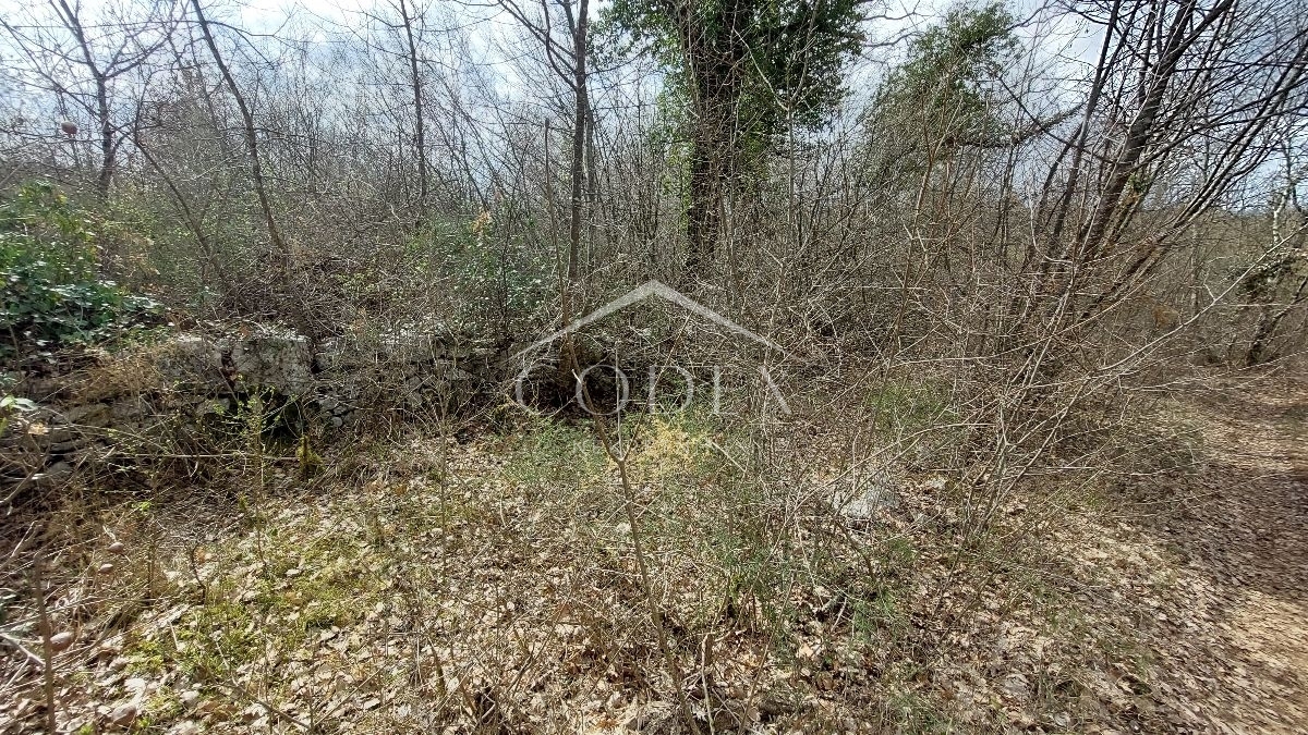 KRINGA