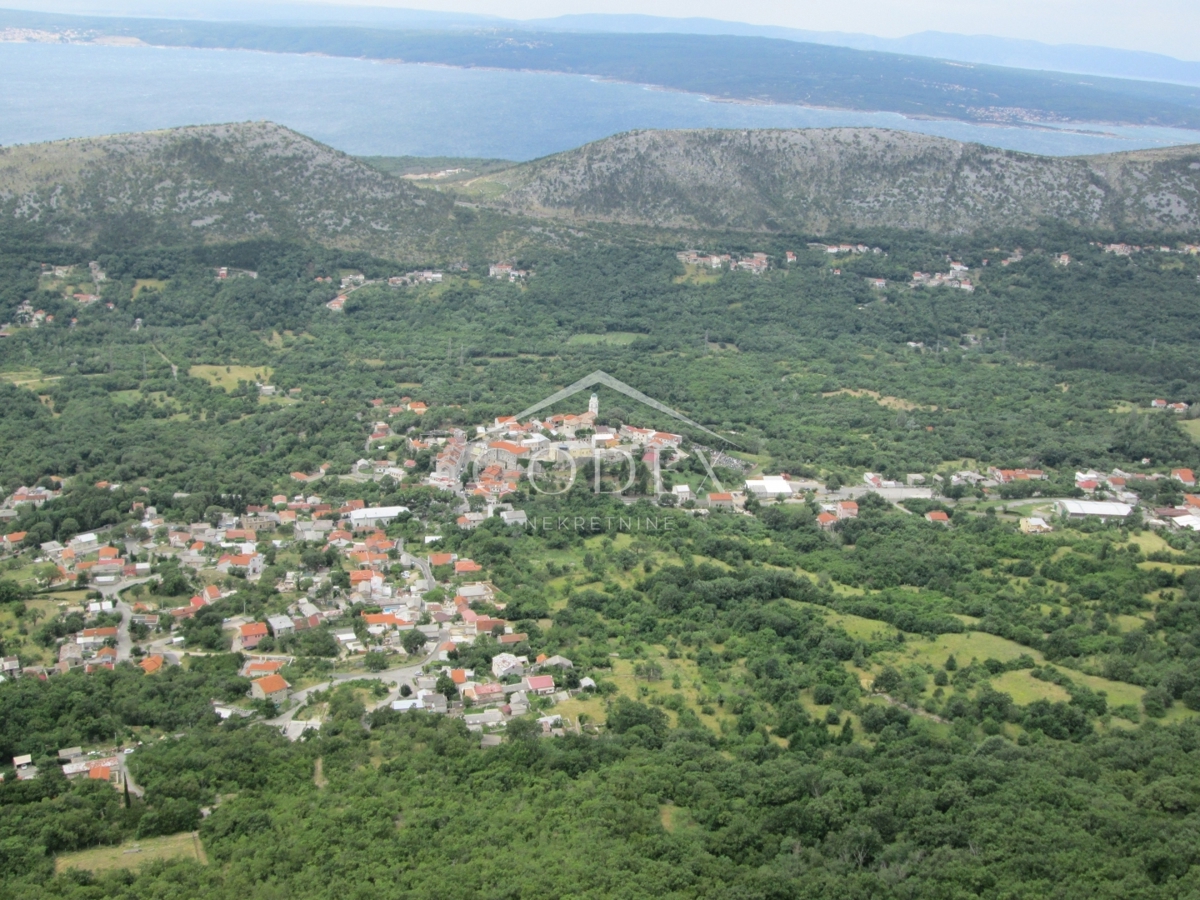 BRIBIR