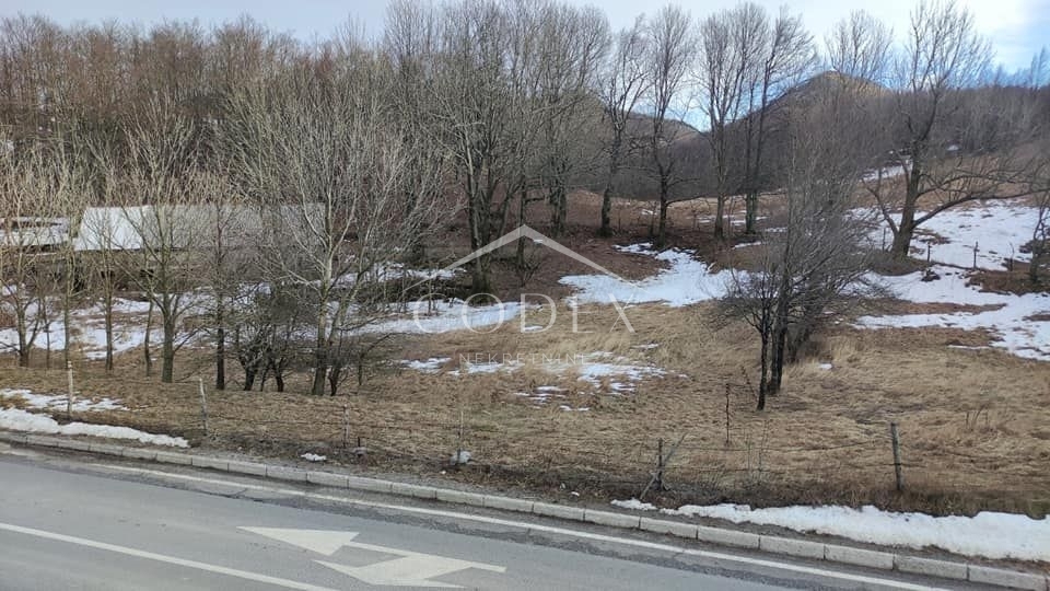 JELENJE
