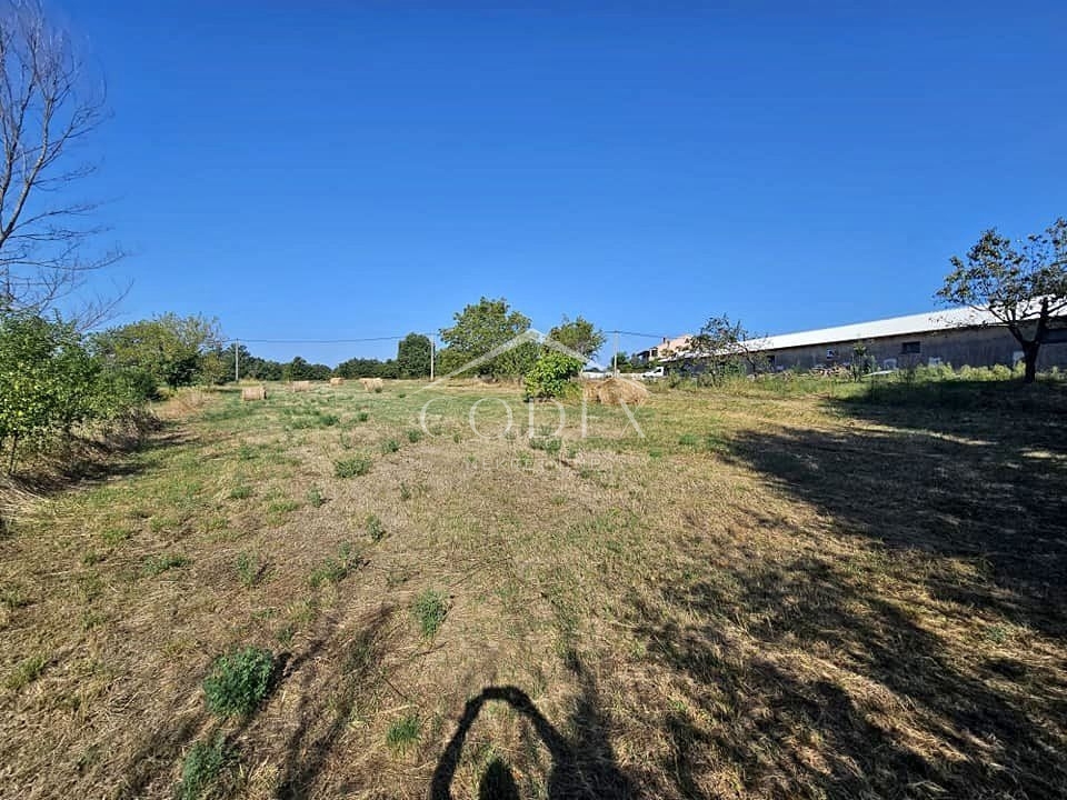 ŽMINJ
