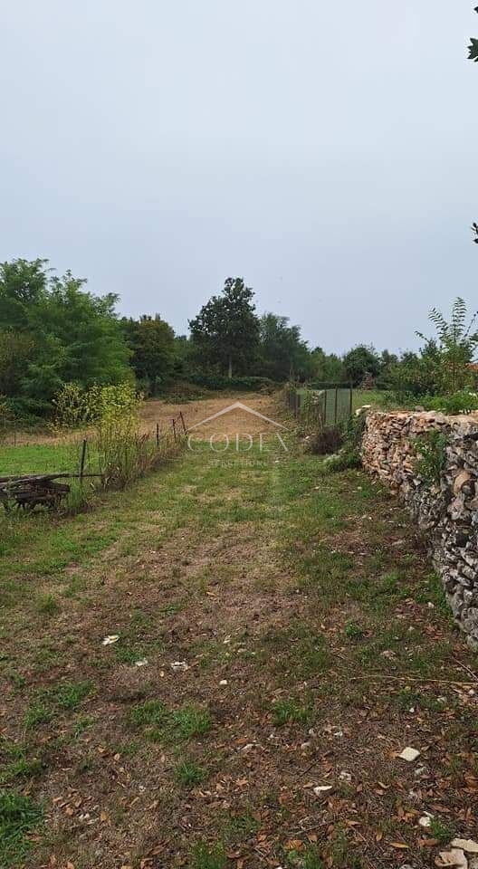 MODRUŠANI