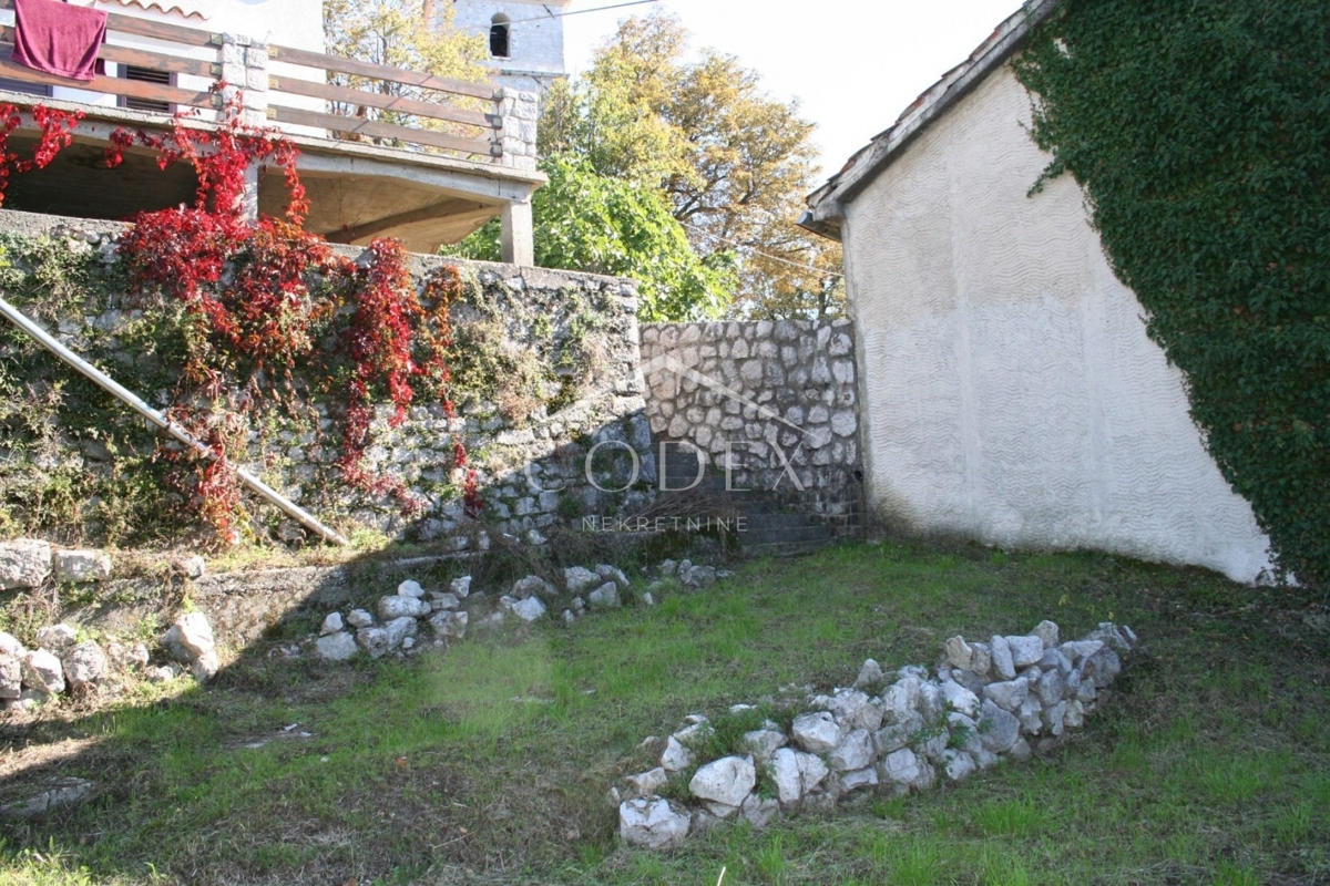 image 23