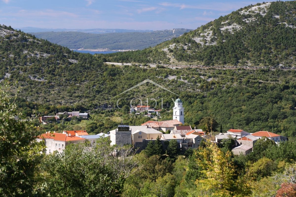 BRIBIR
