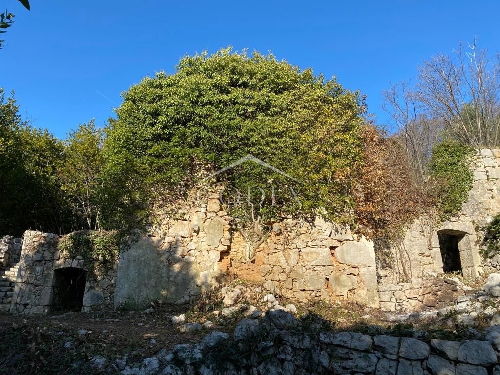 BRSEČ