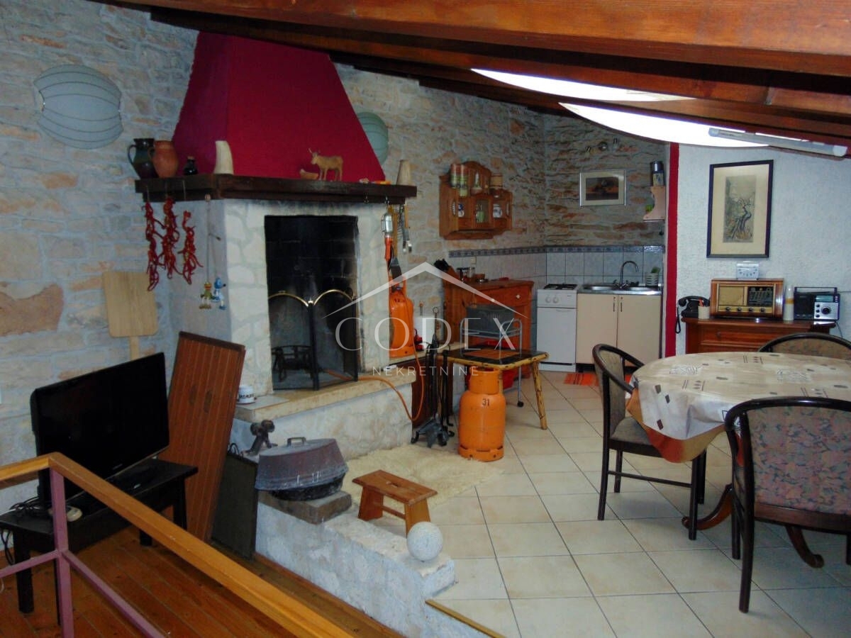 PAVIĆINI
