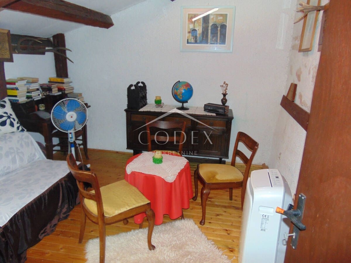 PAVIĆINI