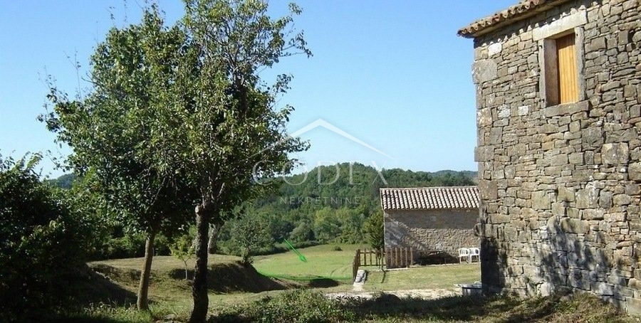 NOVAKI MOTOVUNSKI