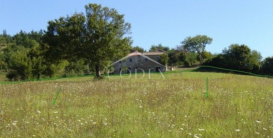 NOVAKI MOTOVUNSKI