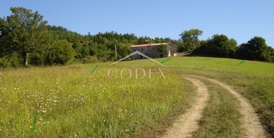 NOVAKI MOTOVUNSKI