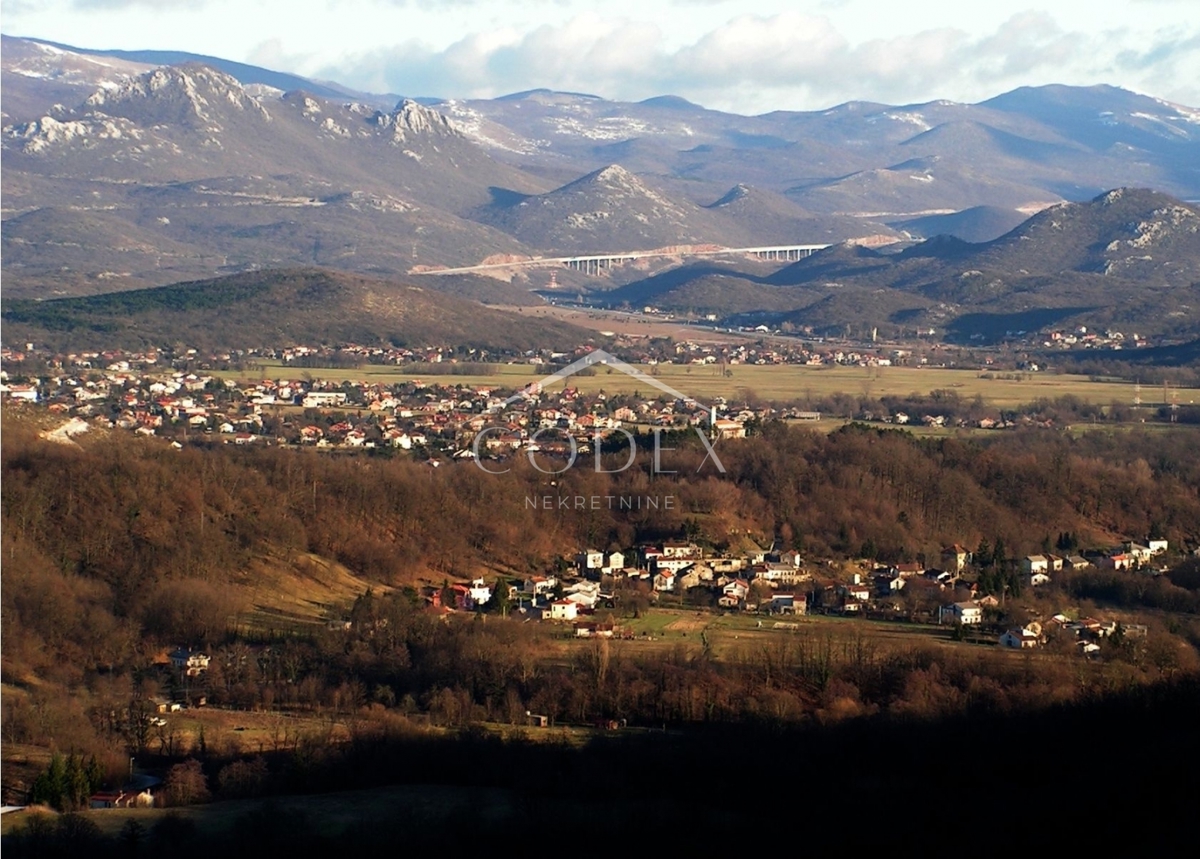 JELENJE