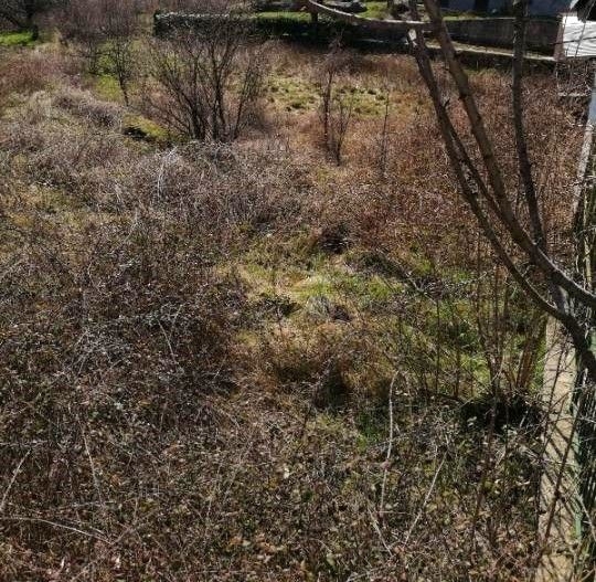 MARČELJI