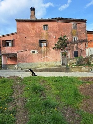 DURIČIĆI