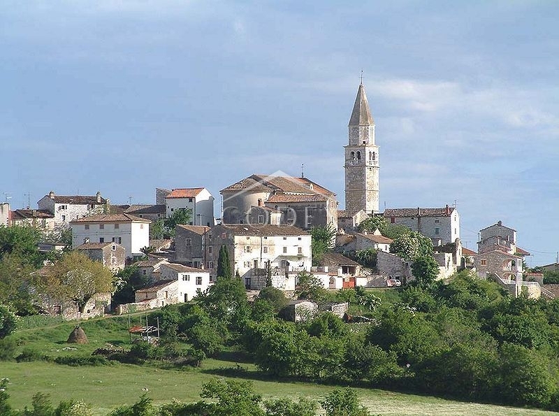 ŽIKOVIĆI