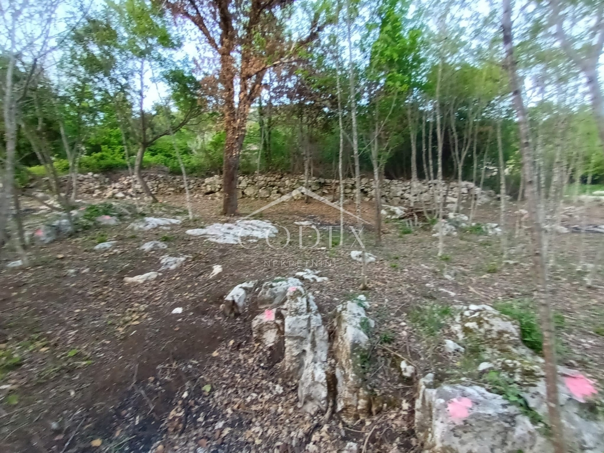 LUPOGLAV