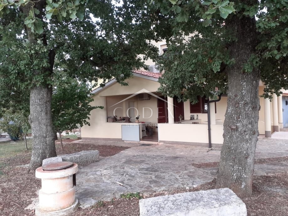 BUŽINIJA