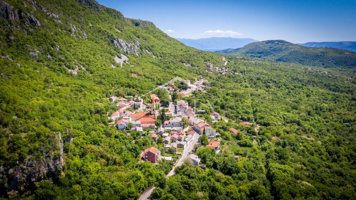 GRIŽANE