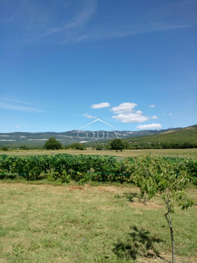 BOLJUNSKO POLJE