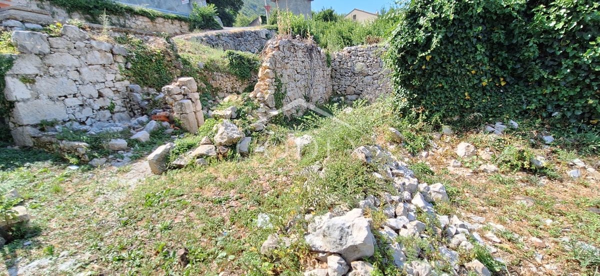BRIBIR