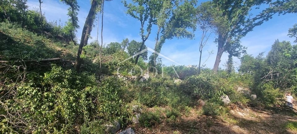 IČIĆI