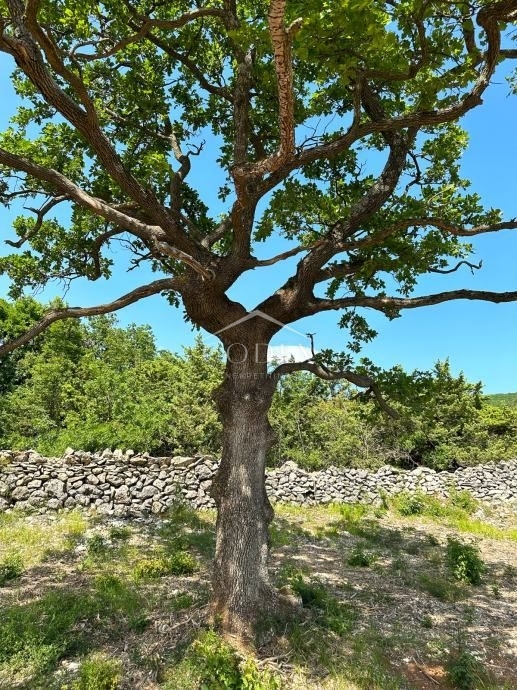SALAKOVCI