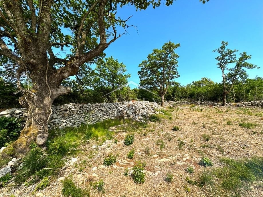 SALAKOVCI