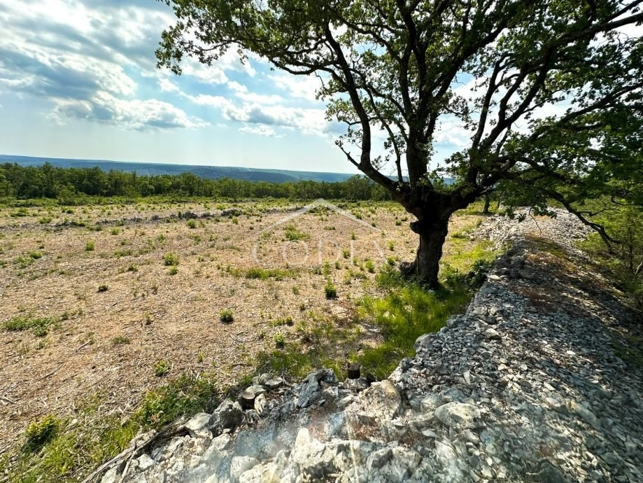 SALAKOVCI