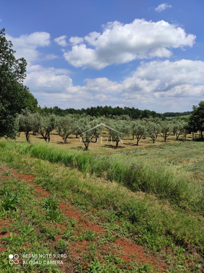 Terreno KAŠTELIR - LABINCI, 45.000 €