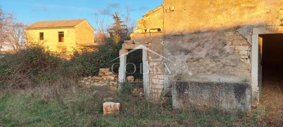 FABCI