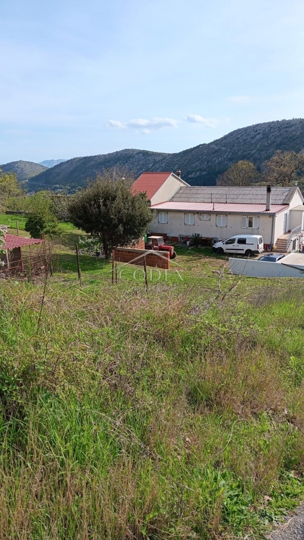 BRIBIR