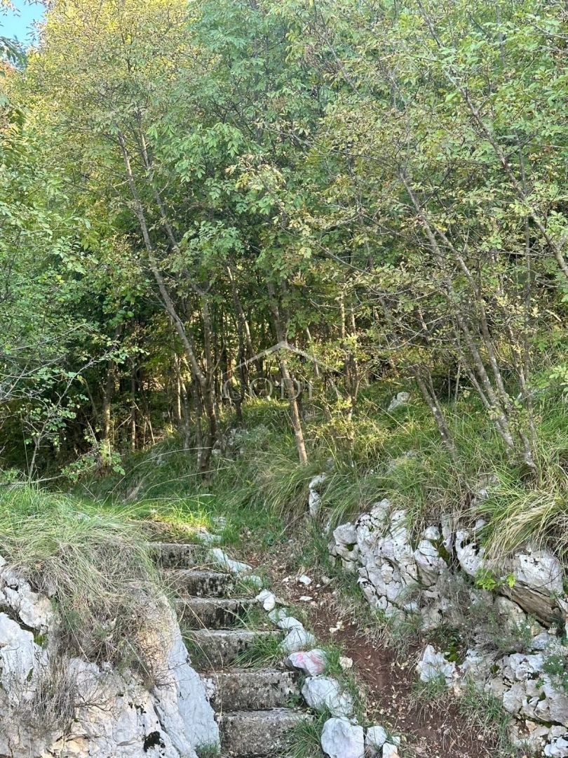 SVILNO
