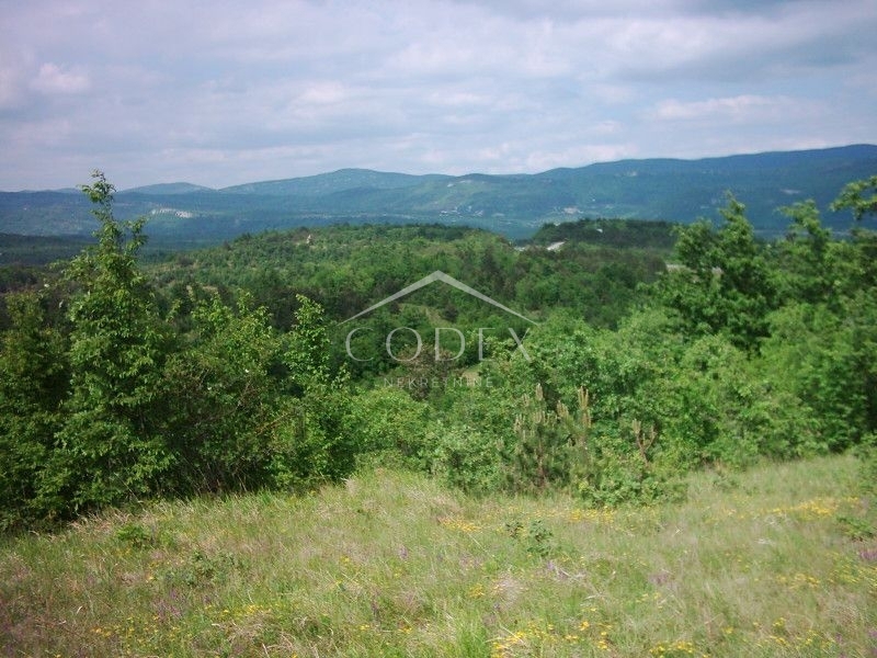 LUPOGLAV