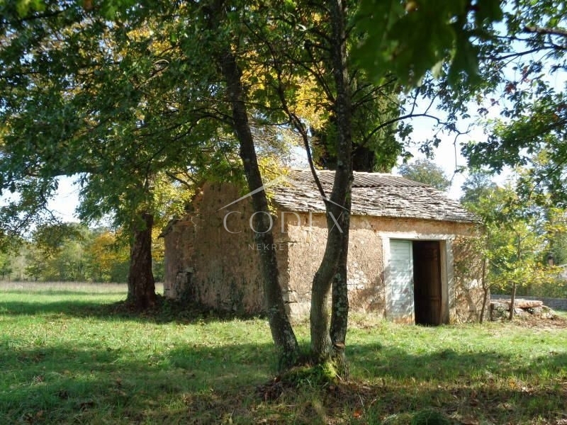 ŽMINJ