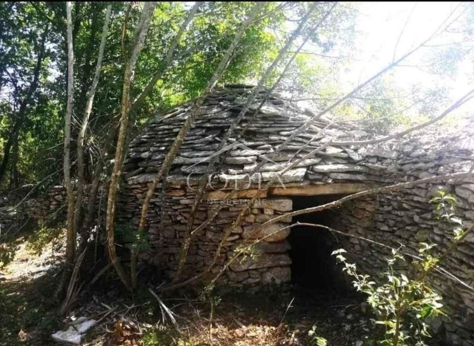 VODNJAN