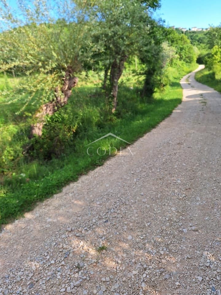 BUJE