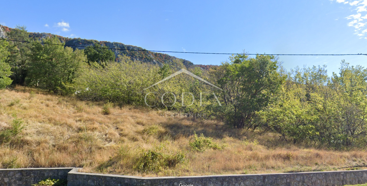 BRIBIR
