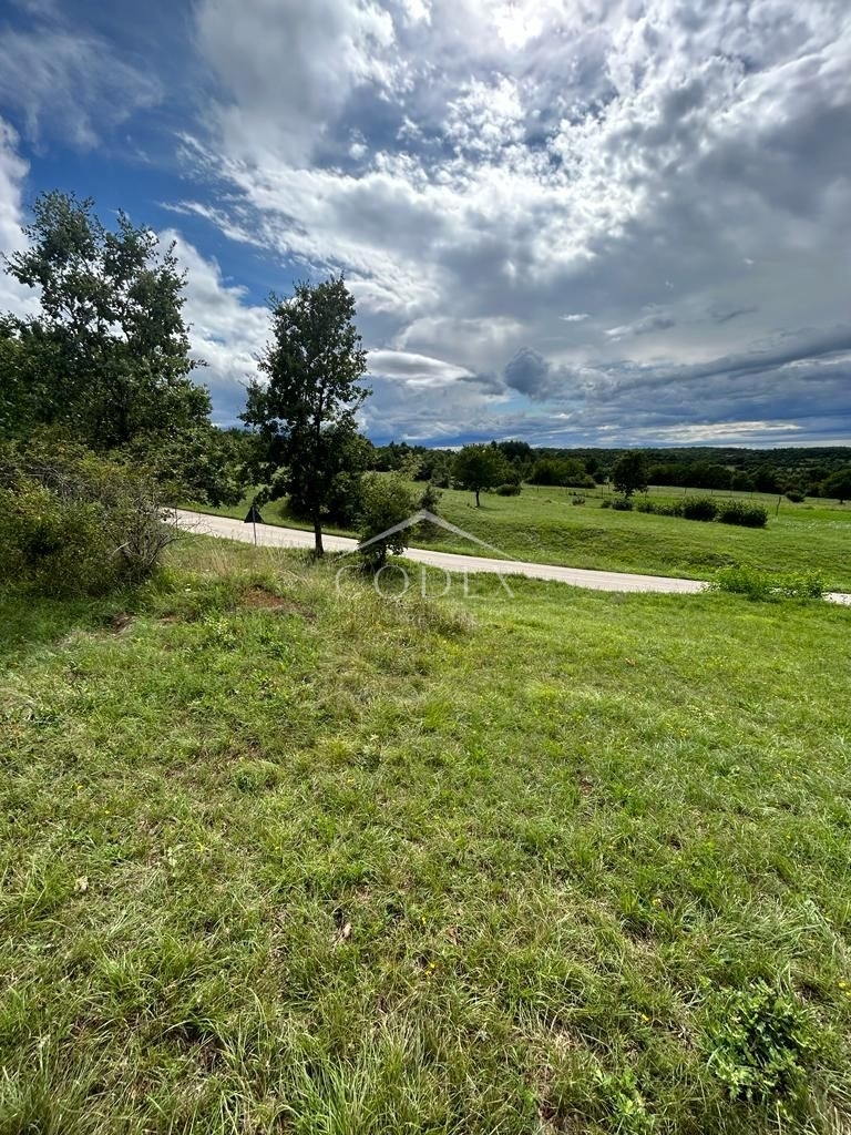 ŠTERNA