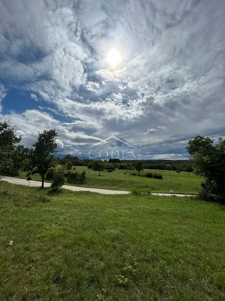 ŠTERNA