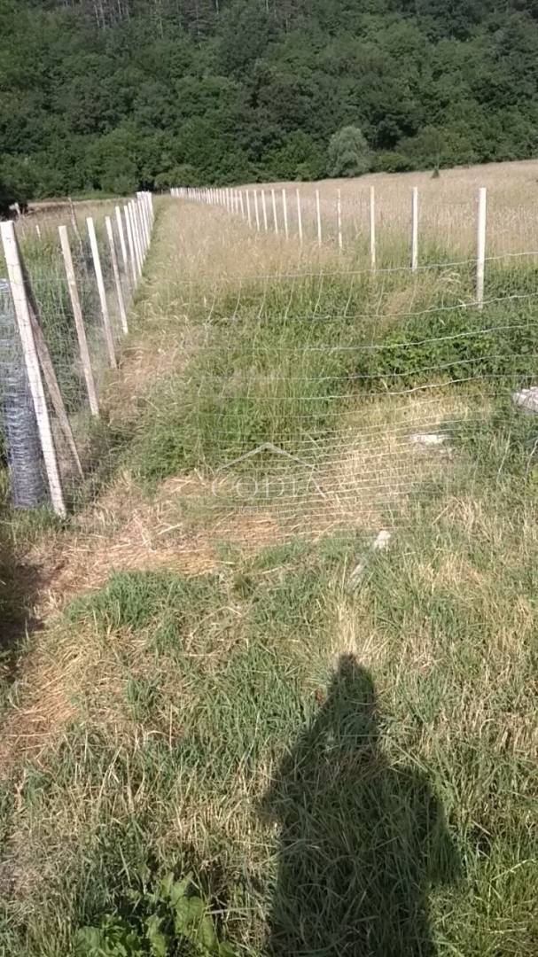 PASJAK