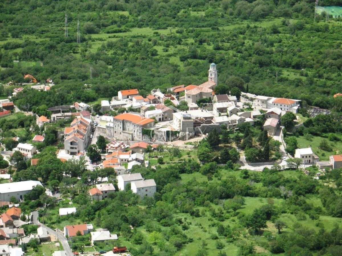 BRIBIR