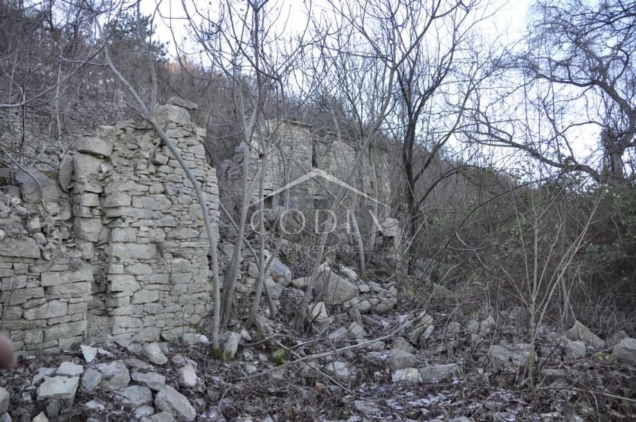 BUZET