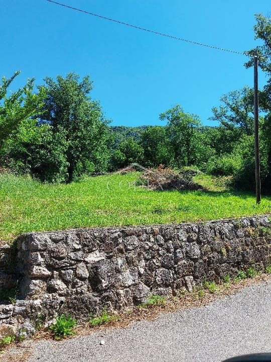 BRIBIR