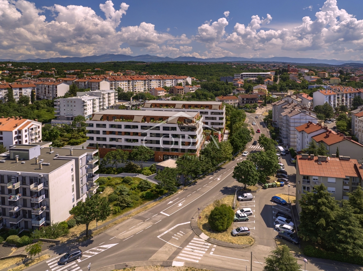 SRDOČI