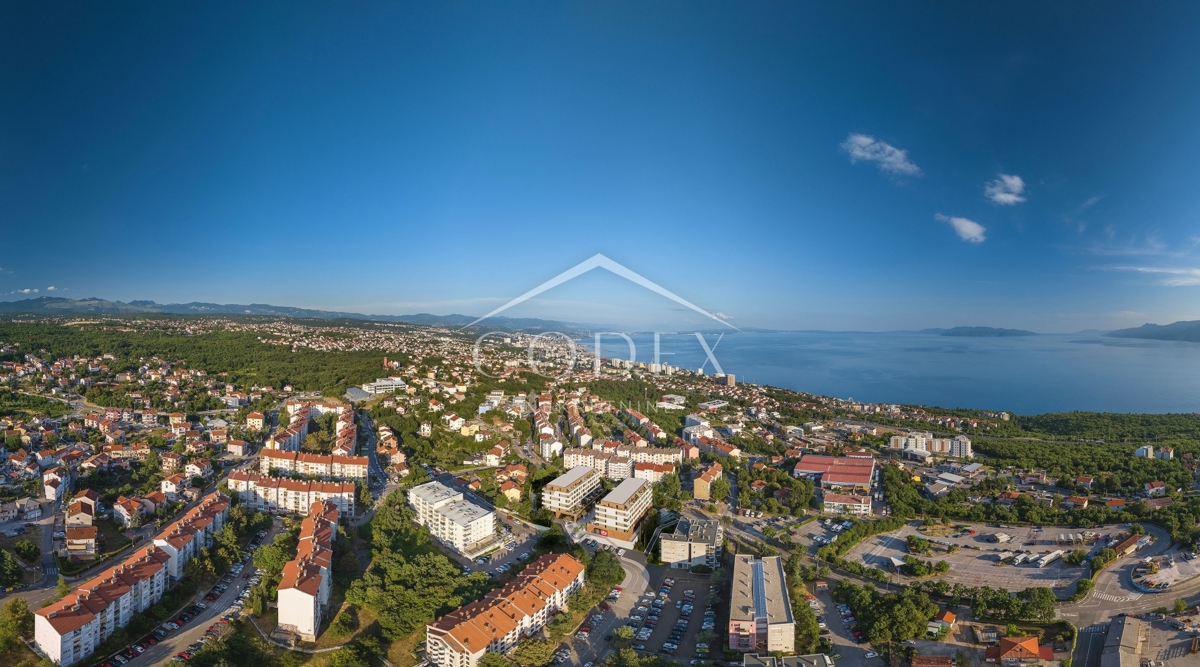 SRDOČI