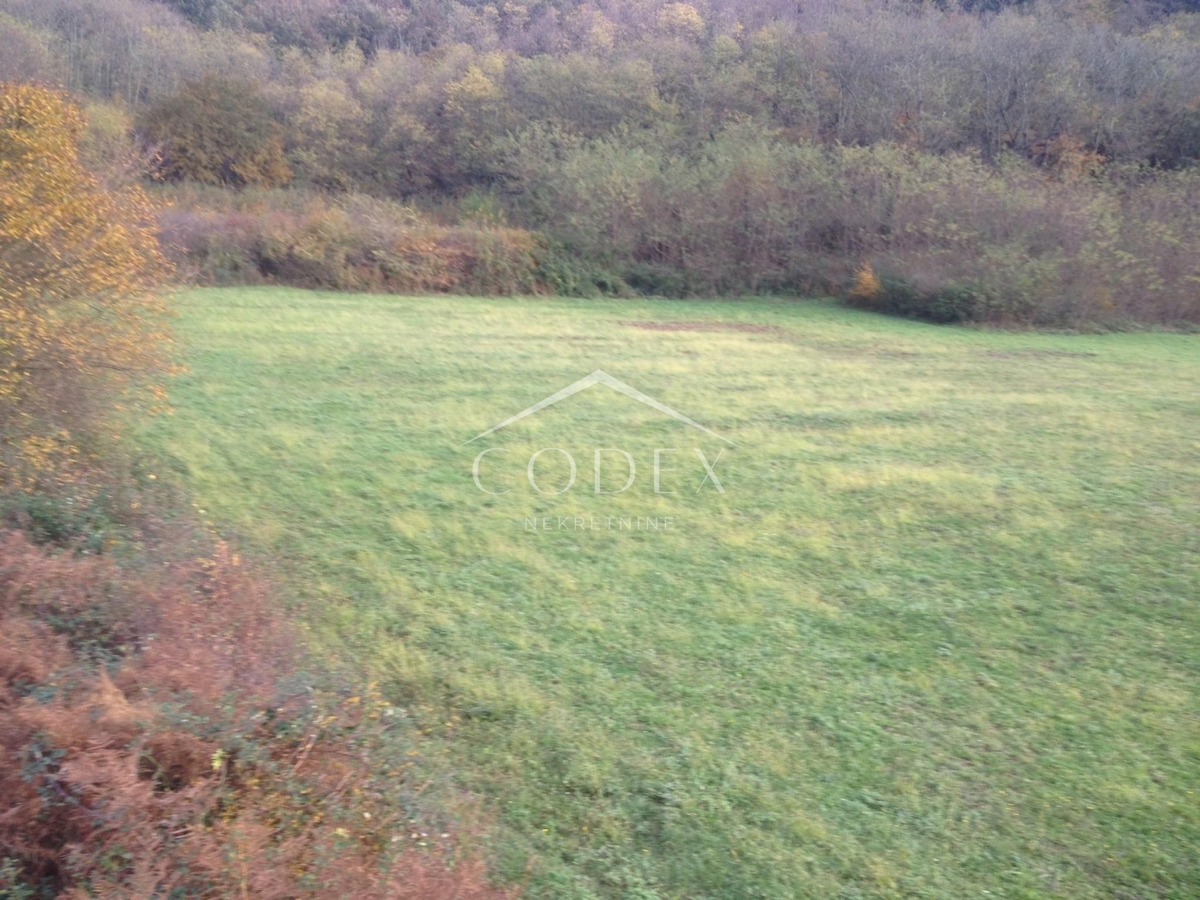 KANFANAR