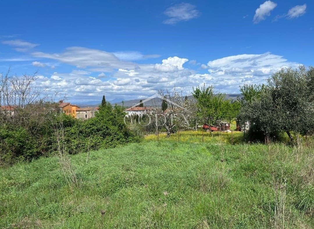 RAKALJ