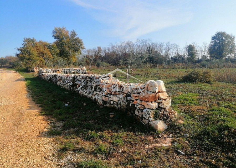 LABINCI