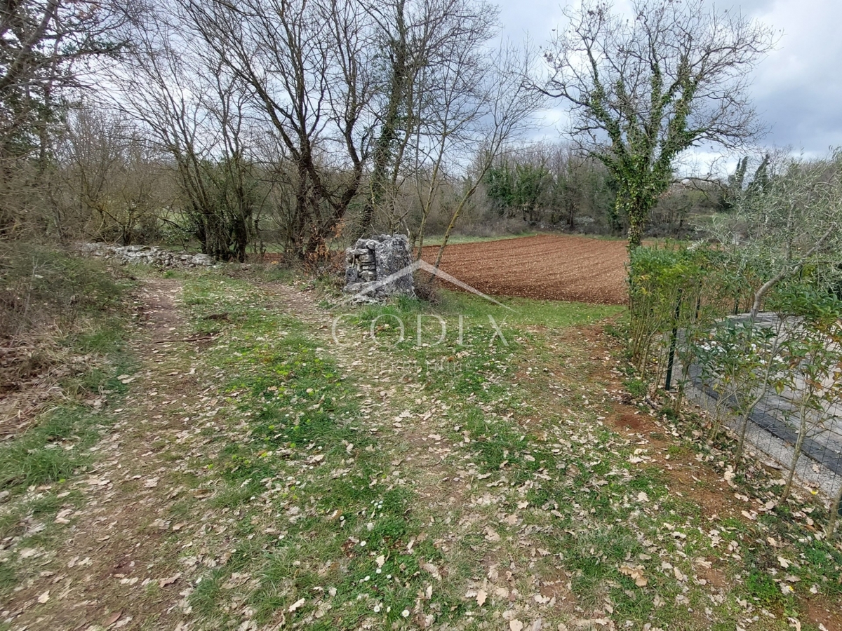 KRINGA