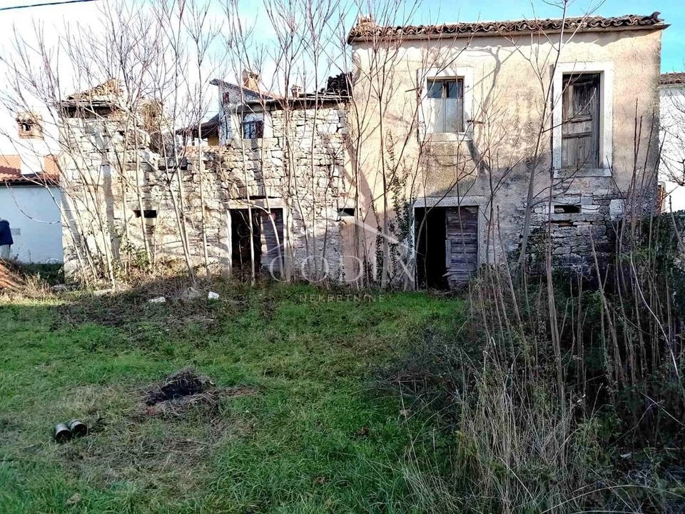 PAZIN